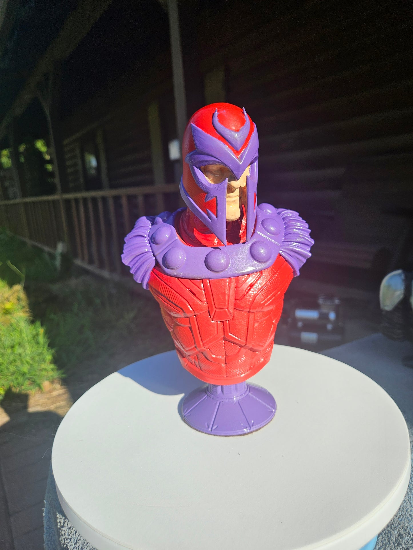 Magneto Bust